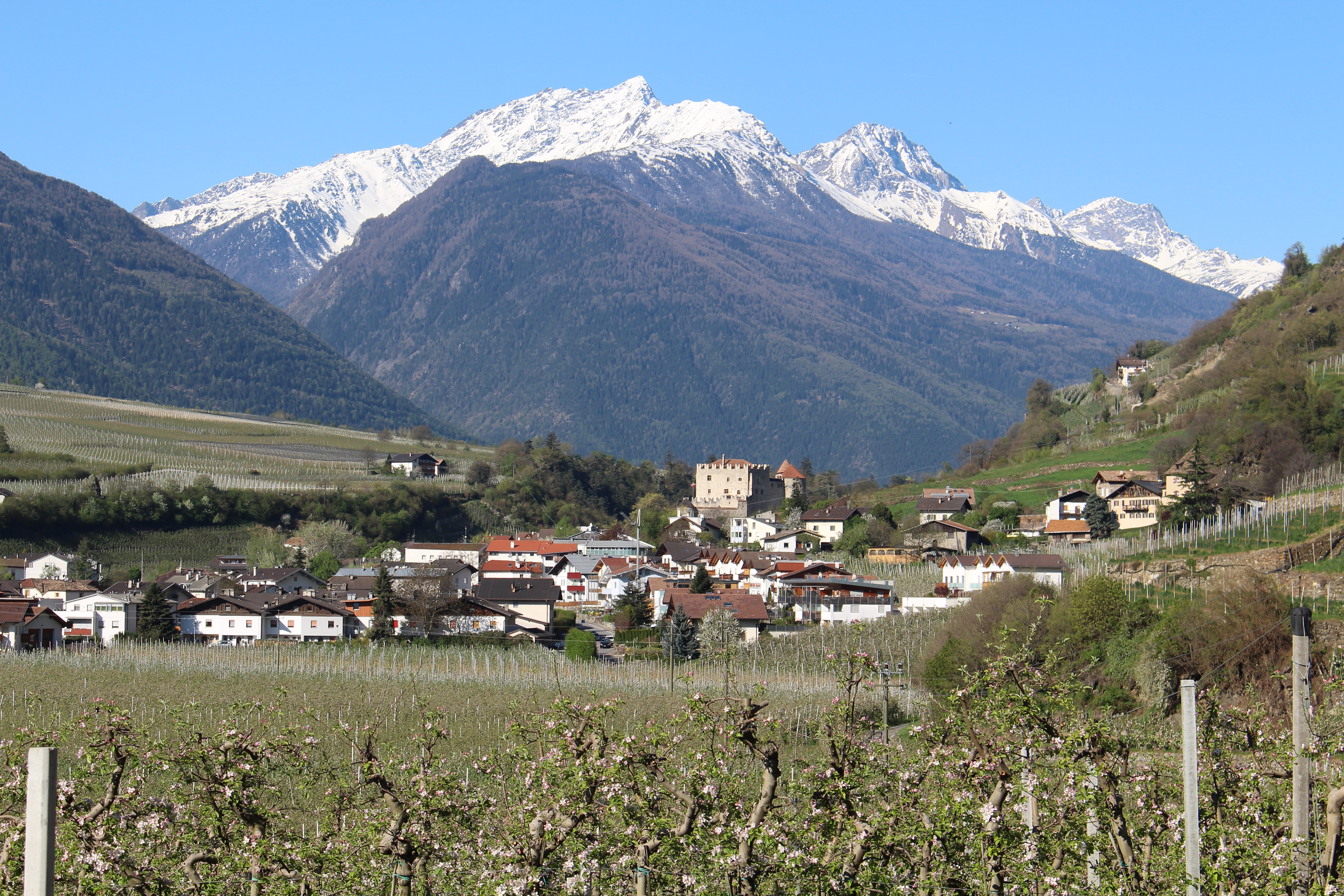 Schloss Kastelbell im Vinschgau