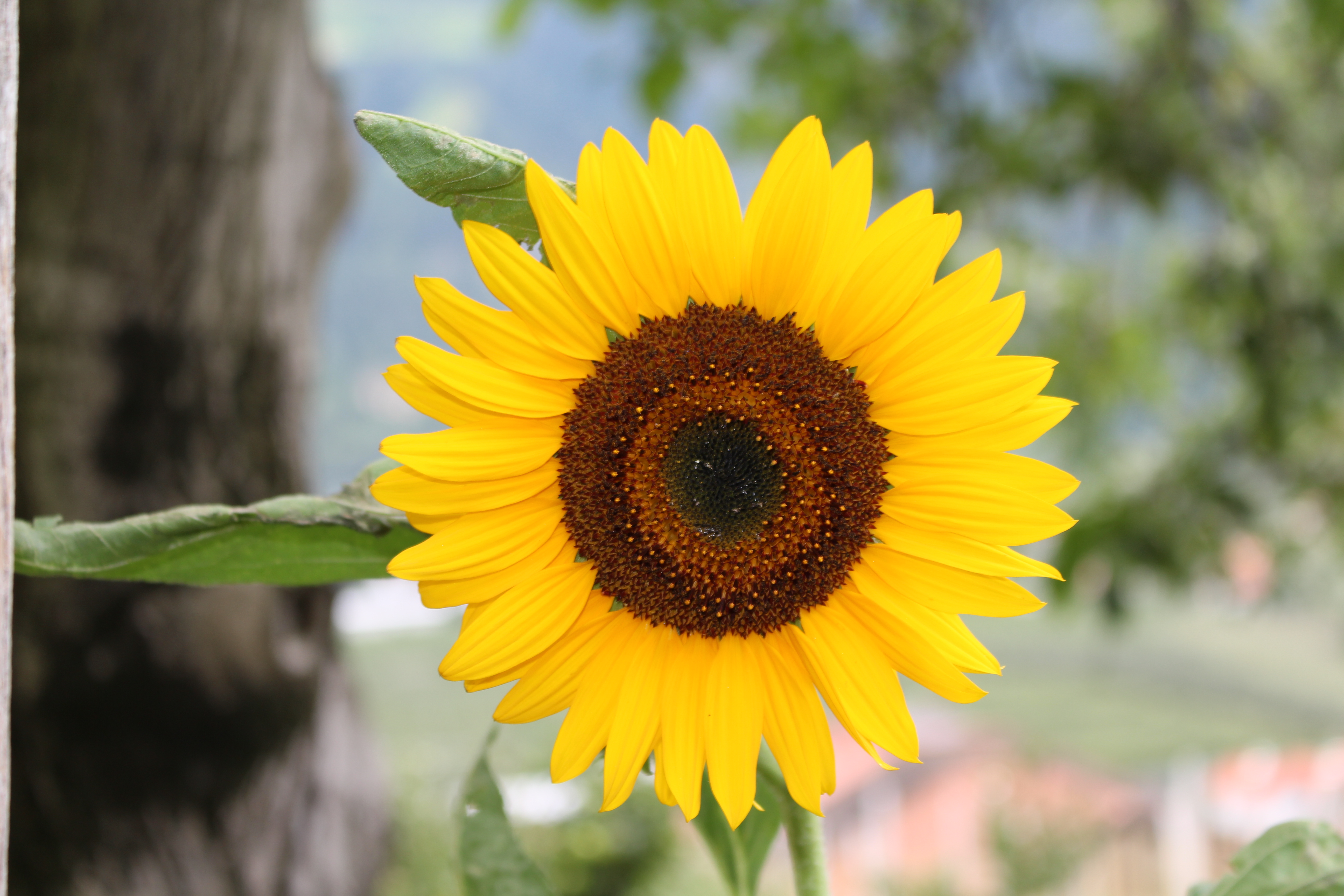 Reservierungsinfos für Ihre Ferien