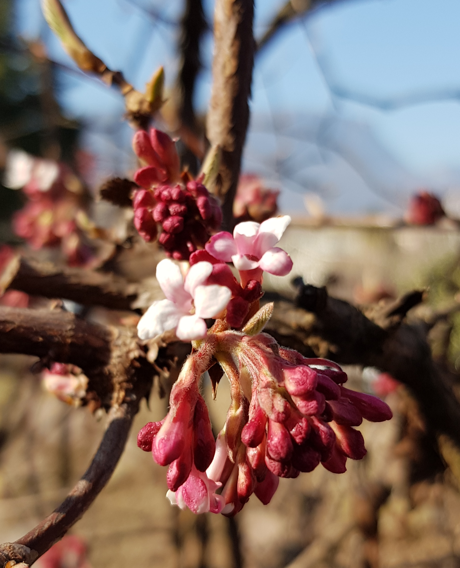 Endlich Frühling!