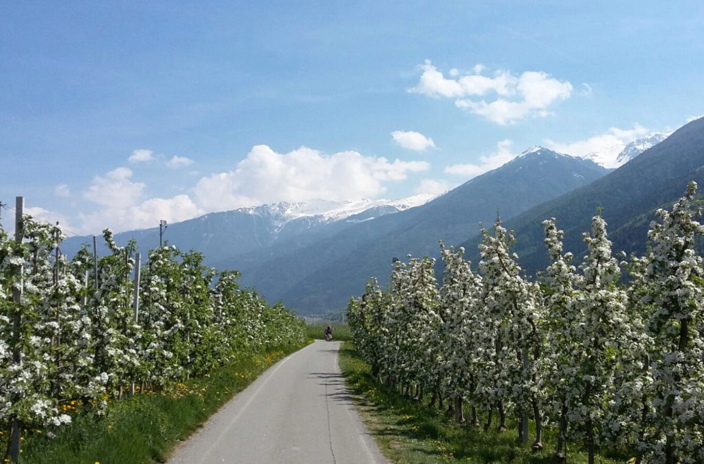 Bici nella Val Venosta