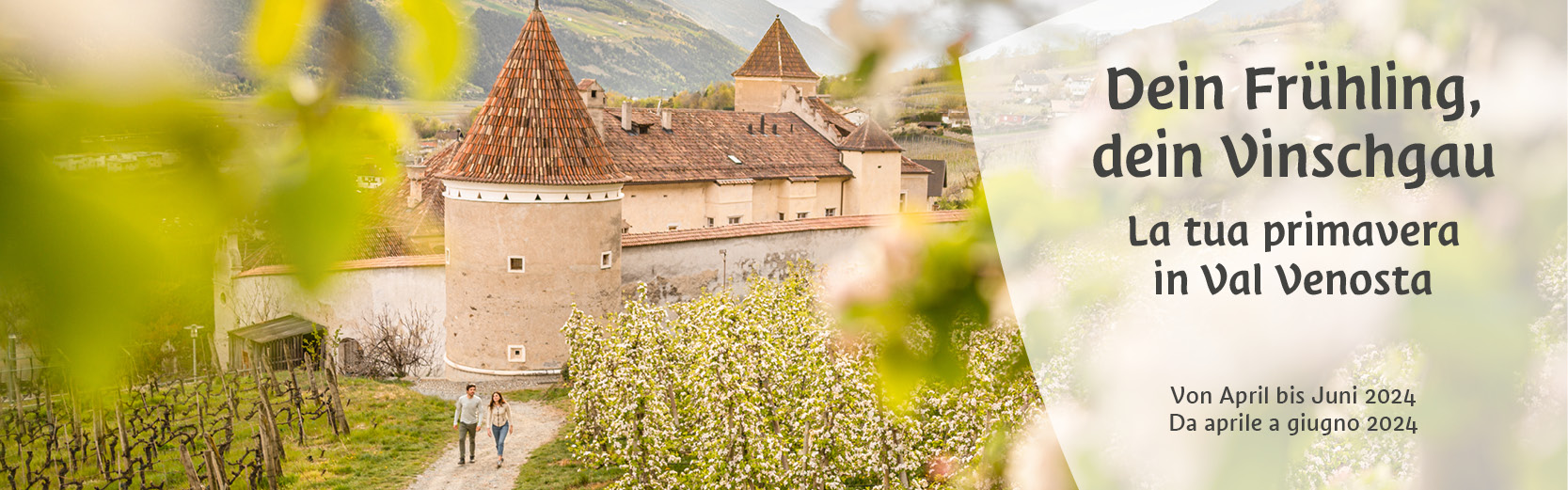 Frühling im Vinschgau